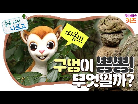 #집에서함께해요 ㅣ 돌에 구멍이 뽕뽕! 무엇일까? ㅣ 숲과 친구되기 ㅣ 숲속 대장 나르고