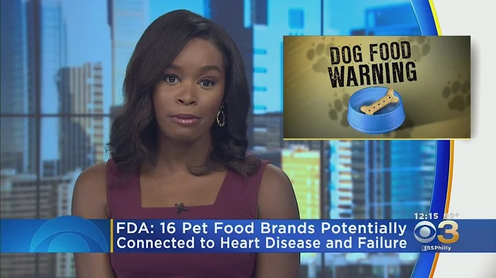 FDA Releases New Report About Potential Connections Between Dog Food And Canine Heart Disease