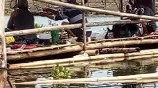 Ngitip Tetangga Nataran Badot.