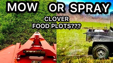 CLOVER FOOD PLOTS: MOW OR SPRAY???