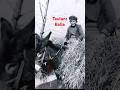 Taulant Balla