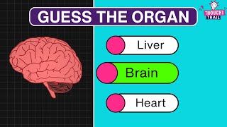 Mystery Anatomy Challenge: Guess the Body Organ!  #GuessTheOrgan #BodyOrganTrivia screenshot 3