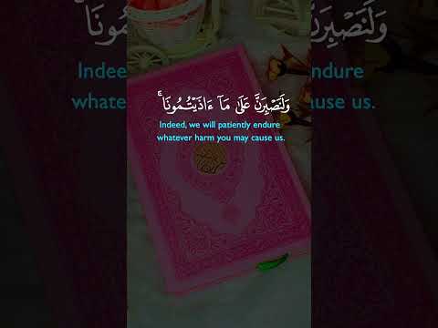 شكرا جزيلا لكل من أعجب بفيديوهاتي وشاركها بفضلكم وصلت اليوم إلى ٦٠٠٠ متابع