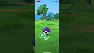 Catching Mankey Pokémon GO