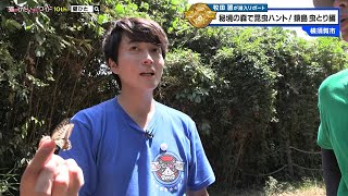 猫のひたいほどワイド #1621 リポート大賞・牧田習「昆虫博士の真の姿