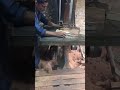 Most satisfying curved wood cuts you'll see today #shorts #woodworking