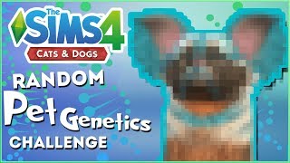 A Family of Barking Gremlins?!  Random Pet Genetics Challenge!!  Experiment #8