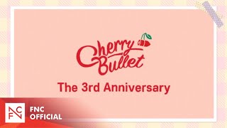 Cherry Bullet 3rd Anniversary Teaser