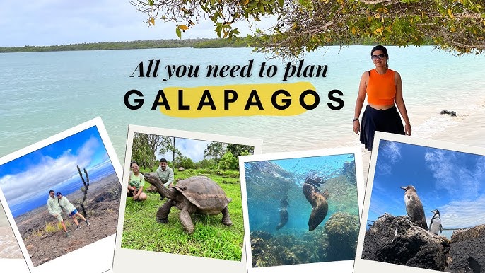Exploring Ecuador & Galapagos: A Comprehensive Guide for Indian Tourists - Wildlife in the Galapagos Islands