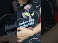 Newborn Baby Monkey Chico after Bathing