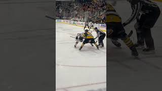 Brantford Bulldogs Jett Luchanko Faceoff vs Cole Beaudoin #bulldogs #ohl #nhl #hockey 🏒