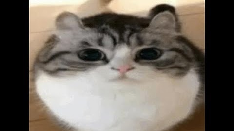 6:06 PM: Runaway Spirits - SLAUGHTERPHOBIA - LAP 1 BEATEN