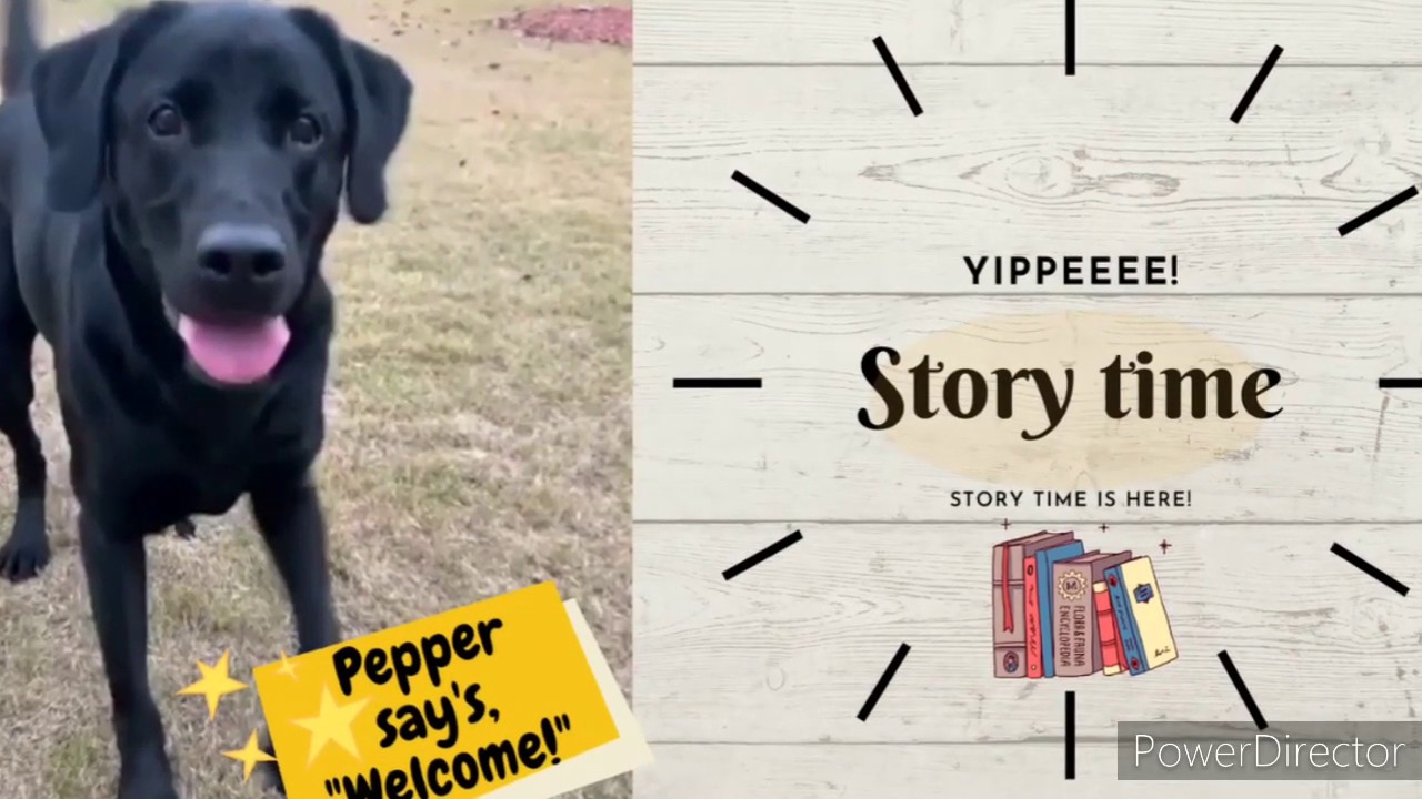 Pepper the Dog is back! Bringing you stories about families. YouTube