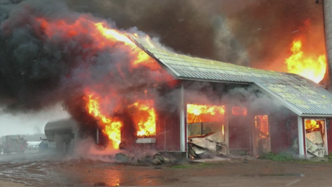800 Dairy Cows Need New Homes After Wis Barn Fire Youtube