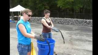 Oyster Restoration - Bagging 2