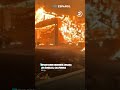 El mundo sin palabras - Noticias de la semana: 05 al 11 de enero
