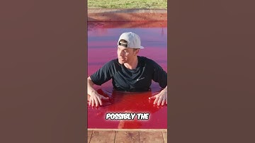 World’s FIRST Real Jello Pool! 🍮💦 (6 Months in the Making)