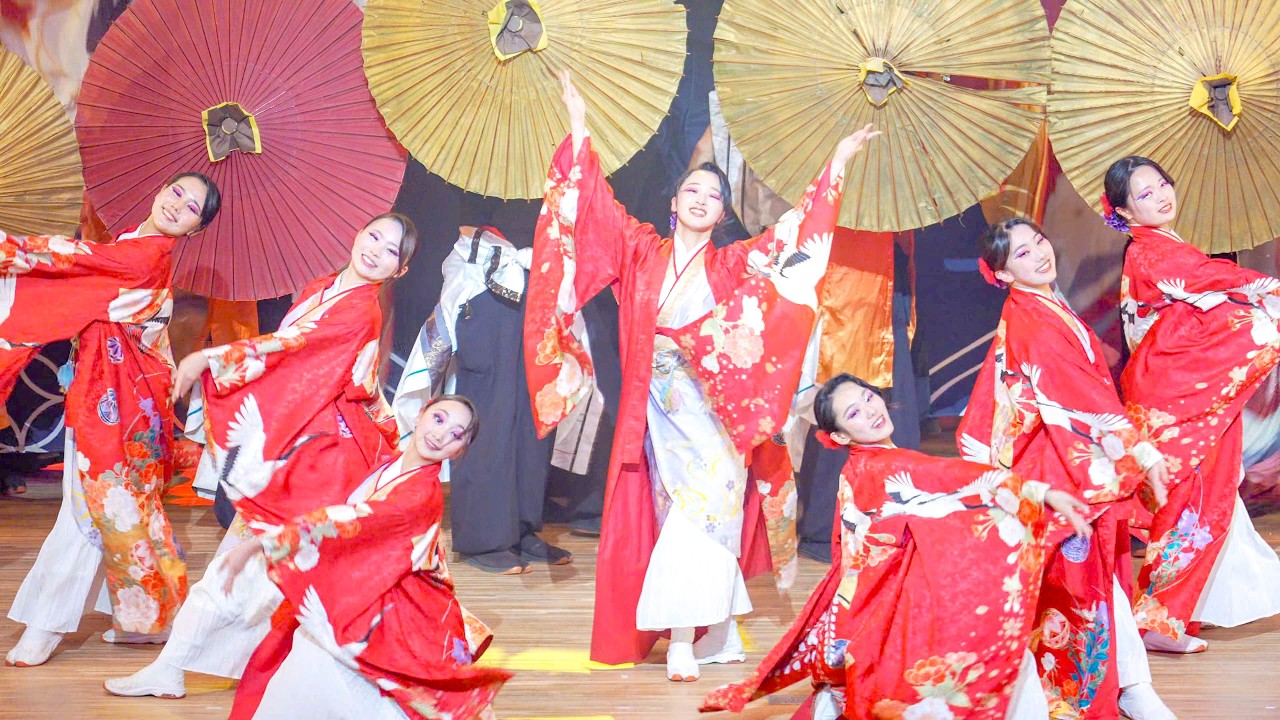4K] 京都よさこい連 心粋 2025年度演舞『和綵(かさね)』 心粋15周年