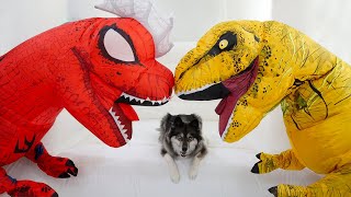 My Puppys Favorite Stories With T-Rex Dinosaurs