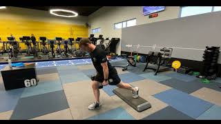 Back Foot Elevated Split Squat