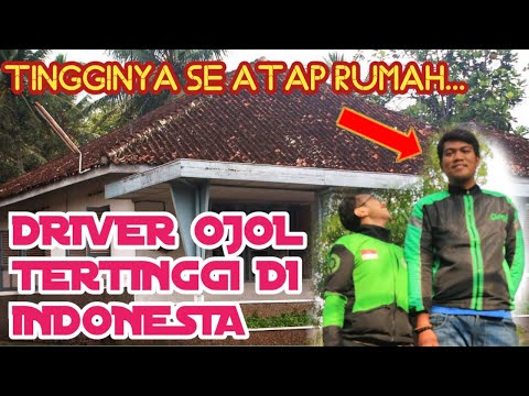 VIRAL DRIVER OJOL TERTINGGI DI INDONESIA YouTube