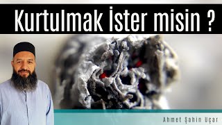 Si̇garadan Kurtulmak İçi̇n Zi̇ki̇r