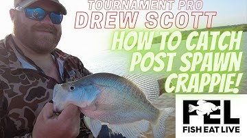 How to catch post spawn Crappie with Drew Scott Fish Eat Live
