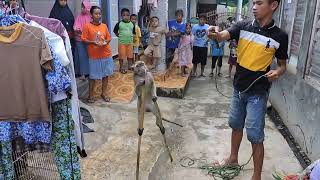 Video <span aria-label=