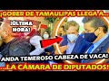 ¡ CON MIEDO CABEZA DE VACA LLEGA A LA CAMARA DE DIPUTADOS ! PANISTAS DEFIENDEN AL " NarcoGobenador "