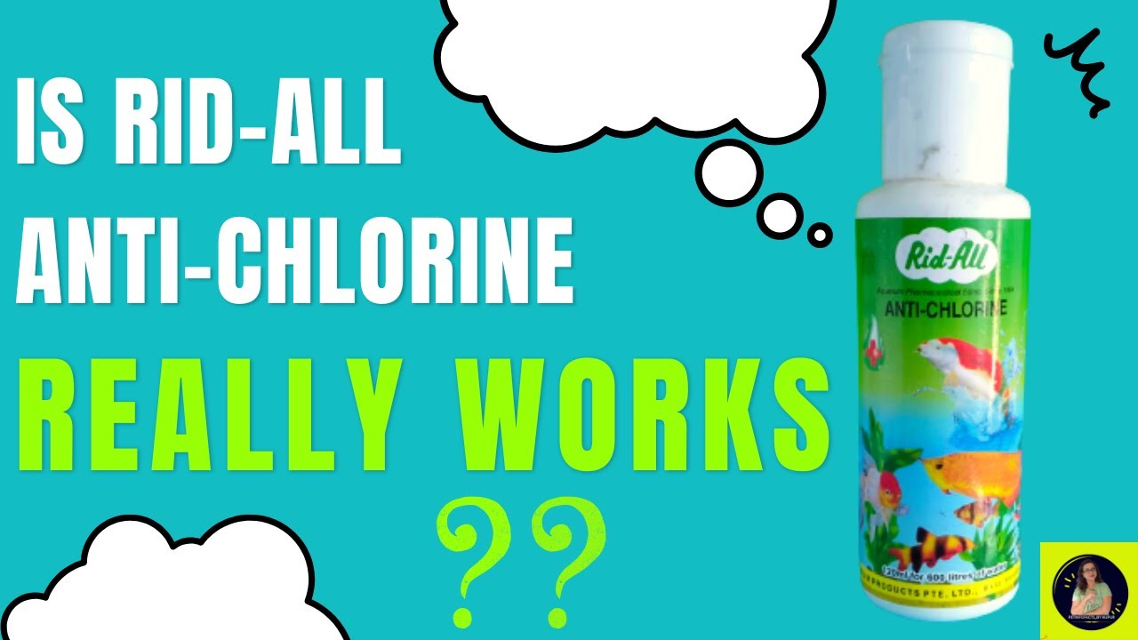 Rid All Anti Chlorine Works Or Not | Rid All Anti Chlorine Uses In ...