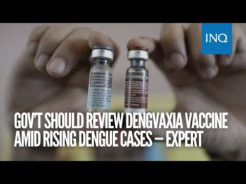 Gov’t should review Dengvaxia vaccine amid rising dengue cases — expert