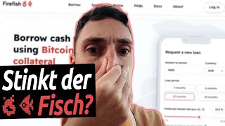 Mein Firefish Erfahrungsbericht Als Kreditnehmer P2P Kredit