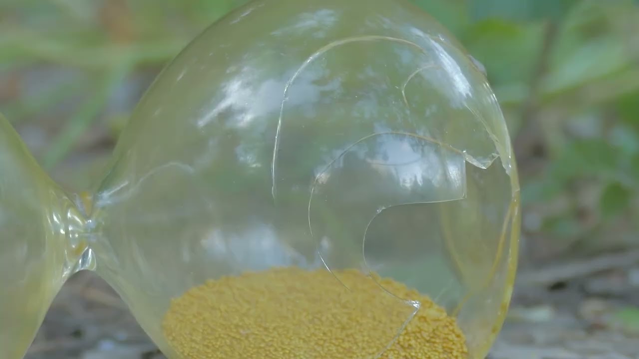 Bloom of Ruins   Janice Borg