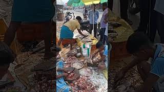 நம்ப வேலையே பார்க்கணும் சார்