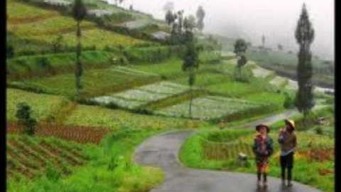 Evening at the Dieng Plateau