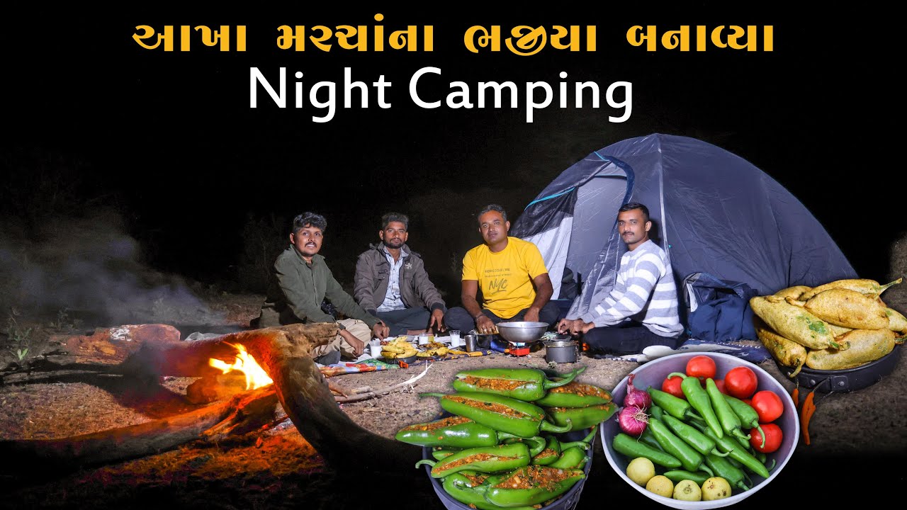 સુંદર પ્રકૃતિ સાથે રાત્રિ રોકાણ | Overnight Stay On A Beautiful Island | Camping In Winter Season 