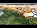 Full Processing Filling Up The Land, Operator Skills Bulldozer KOMATSU D31P, Dump Truck unloading