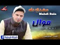 الفنان مهدي دله   موال نجومي