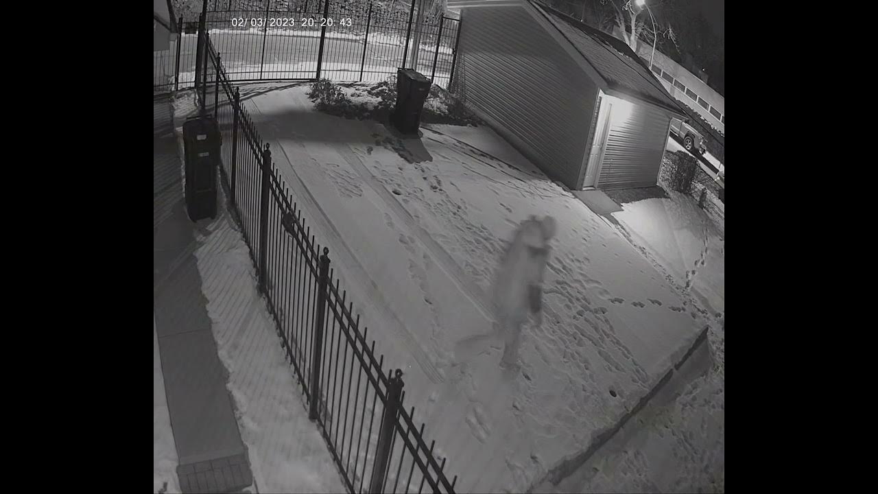 What will you do when your crazy neighbor keeps throwing trash into