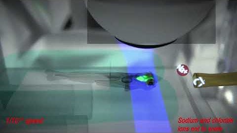 Imaging the larval zebrafish brain