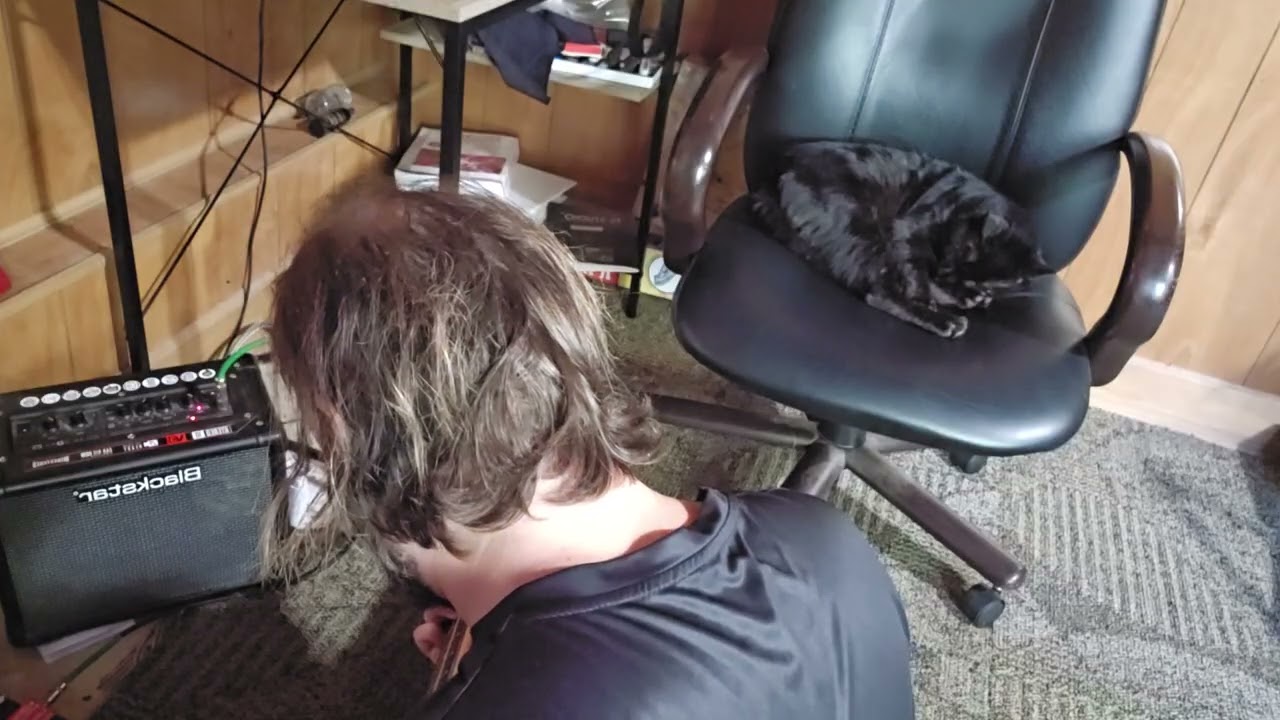 Cat stole my chair so I maxed the delay