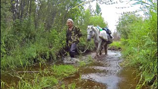 Там кони тонут. Но эти болотные топи охотники зовут дорогой... Жесть