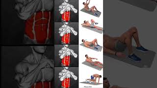 full abs home workout plan 💪#workout #shoulder #chest #sixpack #back #legs #triceps