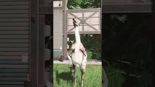 Struthiomimus In Jurassic World Evolution