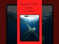 HumanoidCryptid Ningen(ニンゲン)#youtubeshorts #shorts #analoghorror #animation #creepypasta #都市伝説