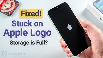 iPhone Stuck on Apple Logo and Storage is Full? 3 Ways to Fix It! (2023)