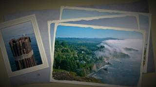 Come Home to Shelter Bay