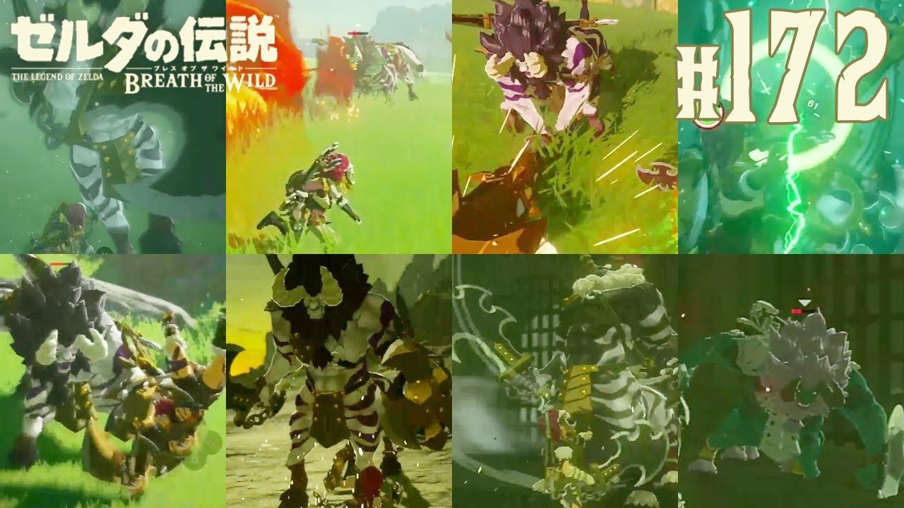 全22匹 ライネル全討伐【ゼルダの伝説 ブレスオブザワイルド
