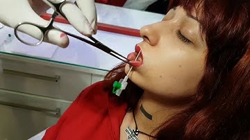 Snake Bites Piercing Delimi ( Official Video )