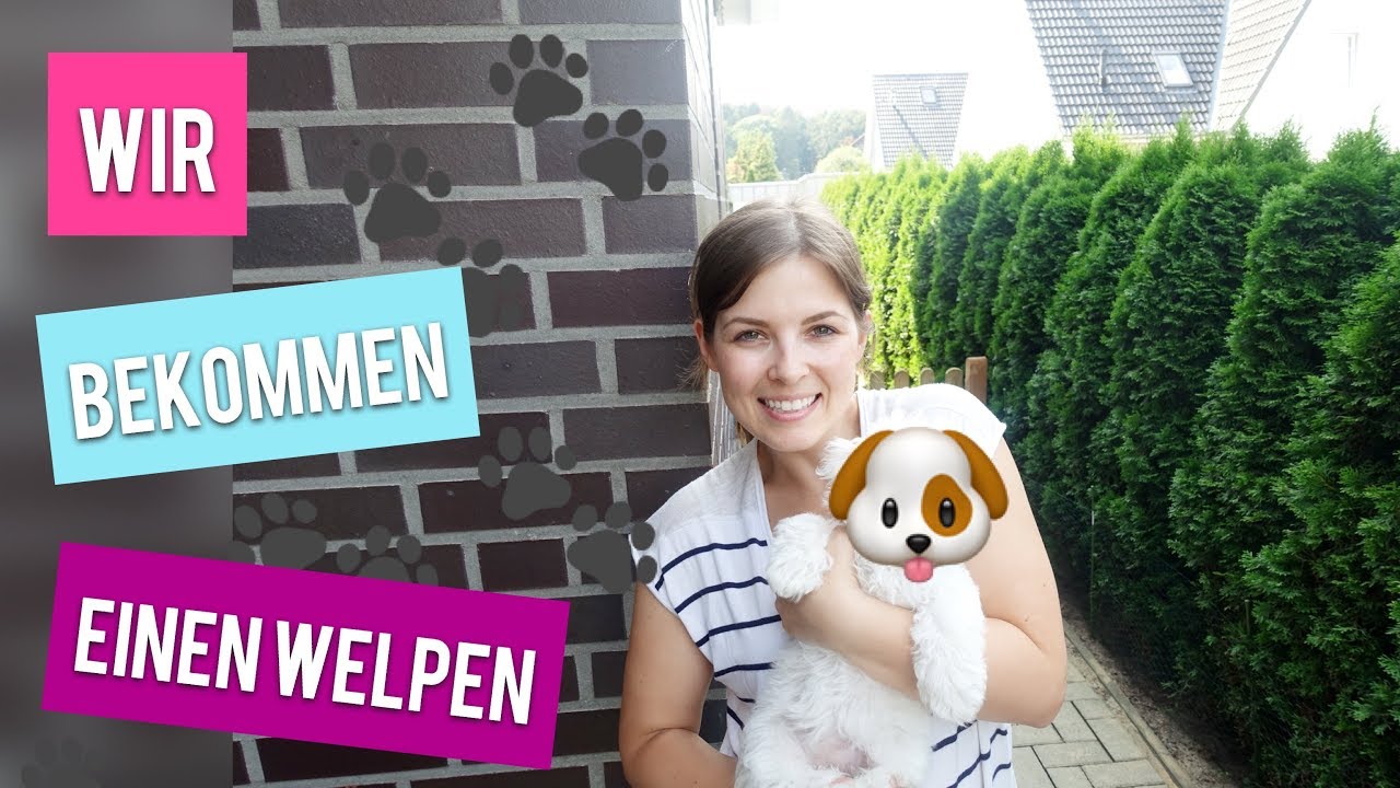Wir bekommen einen Welpen | Welpen Erstausstattung  | Familienvlog